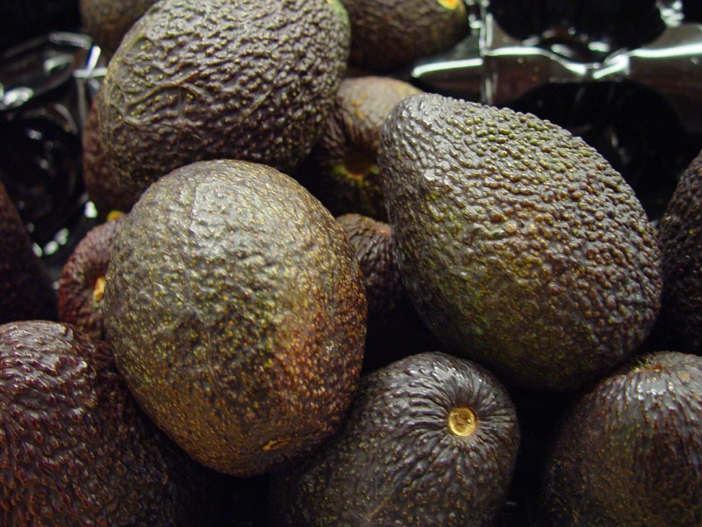 In recent years, avocados have become a lucrative American fad, earning them the name “Green Gold”.